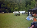 hresw2dflimg_ironscout2001_021