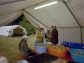 hresw2dflimg_ironscout2001_035