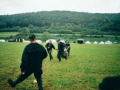 hresw2dflimg_pfila2002_011