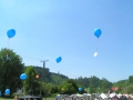 hresw2dflimg_pfila2004_027