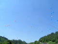 hresw2dflimg_pfila2004_028