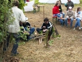 hresw2dflimg_pfila2006_063