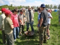 hresw2dflimg_pfila2008_024