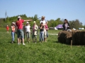 hresw2dflimg_pfila2008_108