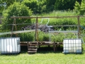 hresw2dflpfingsten-2012_049-1
