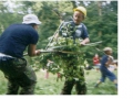 hresw2dflimg_sola2002_005