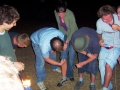 hresw2dflimg_sola2003_068