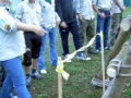 hresw2dflimg_sola2004_033
