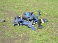 hresw2dflimg_sola2004_059