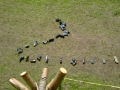 hresw2dflimg_sola2004_062