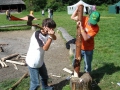 hresw2dflimg_sola2005_061