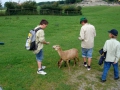 hresw2dflimg_sola2005_089