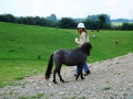 hresw2dflimg_sola2005_091