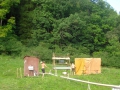 hresw2dflsola2009_00009