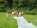 hresw2dflsola2009_00016