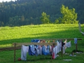 hresw2dflsola2009_00060