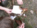 hresw2dflsola2009_00281