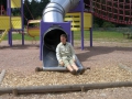 hresw2dflsola2009_00423